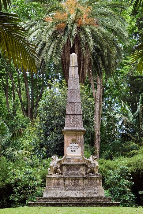 img00046.jpg