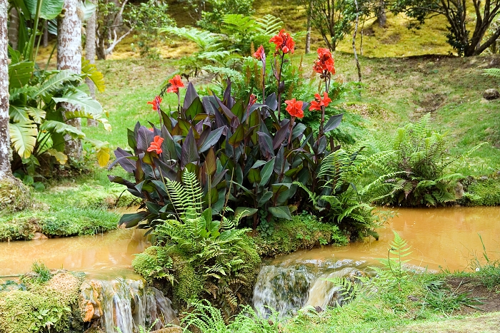 img00051.jpg