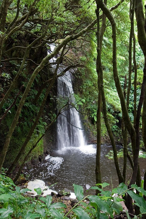 img00068.jpg
