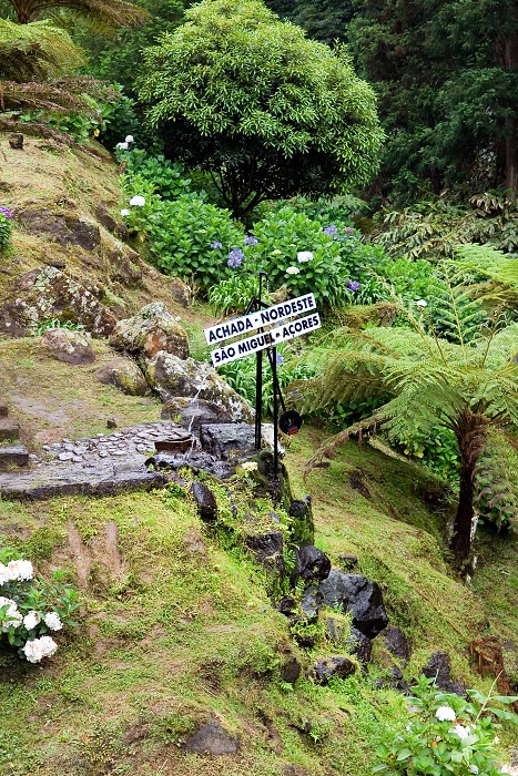 img00120.jpg