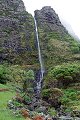 thn00213.jpg
