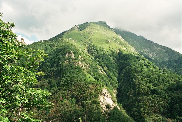 img00006.jpg