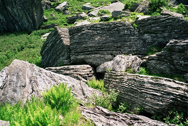 img00012.jpg