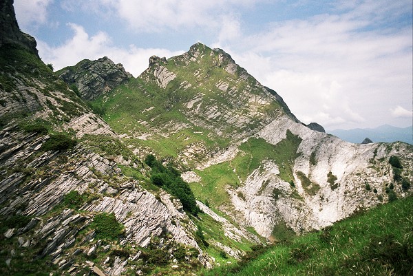 img00014.jpg