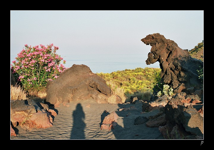 img00006.jpg