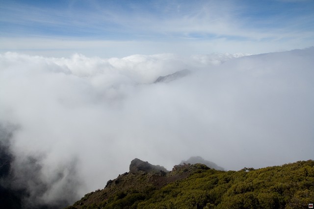 img00170.jpg